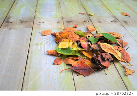 落ち葉 落ち葉 58702227