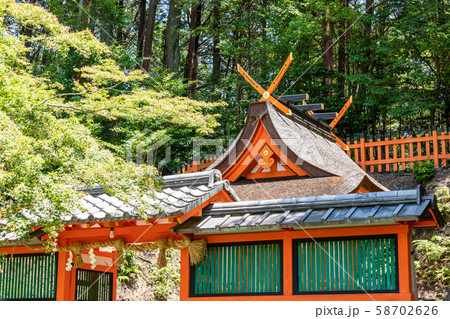 摂社若宮社 鯉沢の池 大原野神社 摂社若宮社 鯉沢の池 大原野神社 58702626