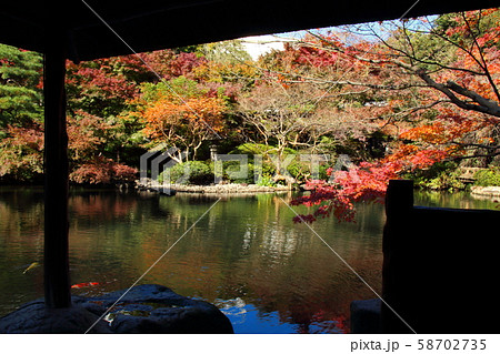 白金の八芳園、都会の中の静寂 白金の八芳園、都会の中の静寂 58702735