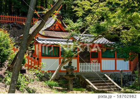 摂社若宮社 鯉沢の池 大原野神社 58702982