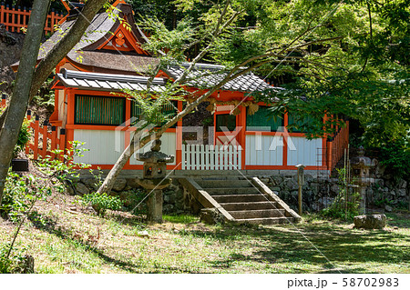 摂社若宮社 鯉沢の池 大原野神社 58702983