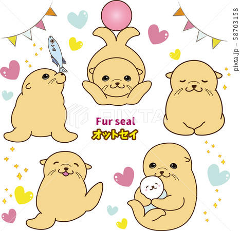 オットセイ 5種セット イラスト カラーのイラスト素材