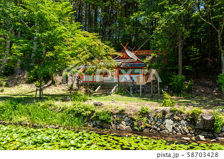 摂社若宮社 鯉沢の池 大原野神社 摂社若宮社 鯉沢の池 大原野神社 58703428