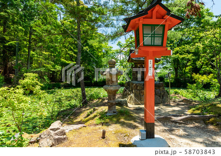 中の島 大原野神社鯉沢の池 中の島 大原野神社鯉沢の池 58703843