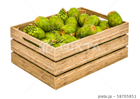 Cactus pears in the wooden crate, 3D rendering Cactus pears in the wooden crate, 3D rendering 58705851