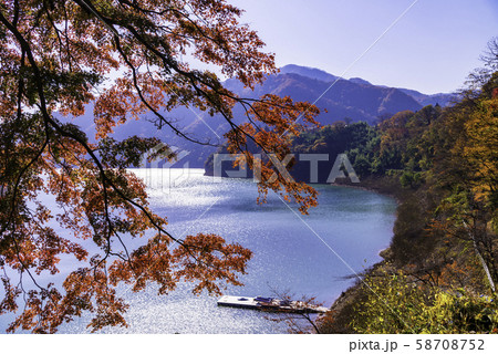 （群馬県）猿ヶ京温泉・赤谷湖　湖畔の紅葉 58708752