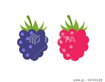 Raspberry vector icon illustration. Flat berry sweet healthy organic fruit raspberry blackberry 58709189