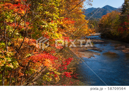 水辺の紅葉 水辺の紅葉 58709564