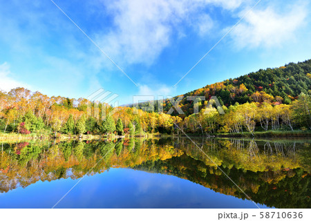 志賀高原の紅葉 志賀高原の紅葉 58710636