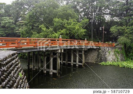雨の高岡古城公園　駐春橋　富山県高岡市 58710729