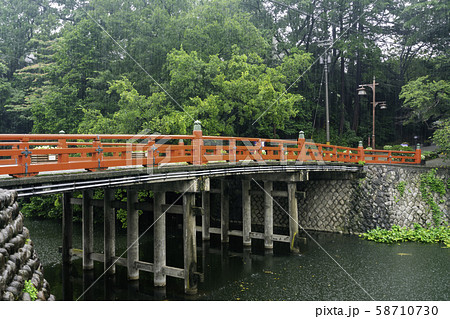 雨の高岡古城公園　駐春橋　富山県高岡市 58710730