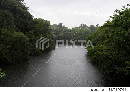 雨の高岡古城公園　水濠　富山県高岡市 58710741
