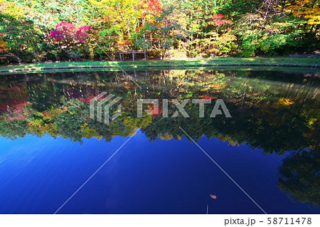 晩秋に煙る紅桜公園 晩秋に煙る紅桜公園 58711478