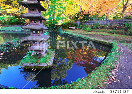 晩秋に煙る紅桜公園 58711487
