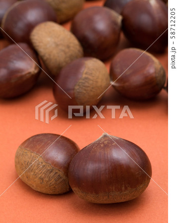 生の栗 58712205