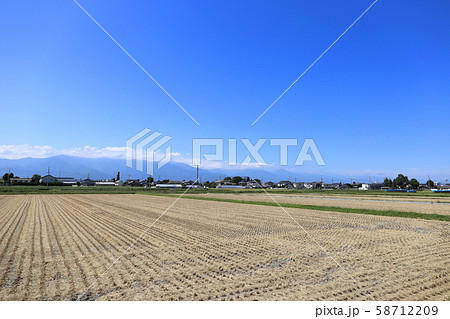 松本市内、稲刈り後の田園風景 58712209