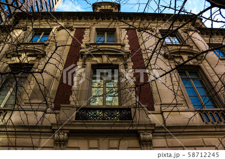 ニューヨーク - NEUE galerie 58712245