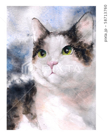 Watercolor painting of calico cat with green eyes Watercolor painting of calico cat with green eyes 58713760