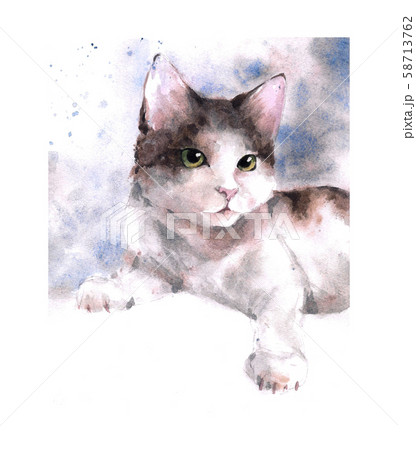 Watercolor painting of calico cat with green eyes Watercolor painting of calico cat with green eyes 58713762