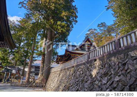 埼玉県秩父市の三峯神社の神木と拝殿 埼玉県秩父市の三峯神社の神木と拝殿 58714300