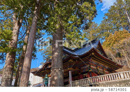 埼玉県秩父市の三峯神社の神木と拝殿 58714301