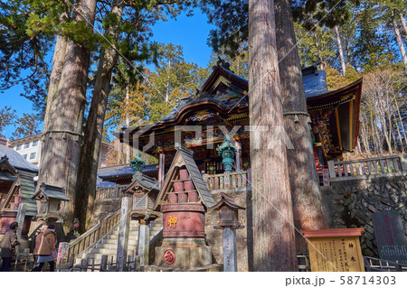 埼玉県秩父市の三峯神社の神木と拝殿 58714303