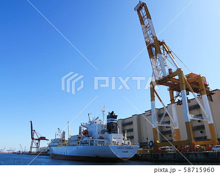 生鮮食品輸送の要　ホワイトカラーのリーファーキャリア　冷凍船 58715960