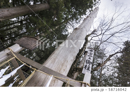 諏訪大社御柱 58716042