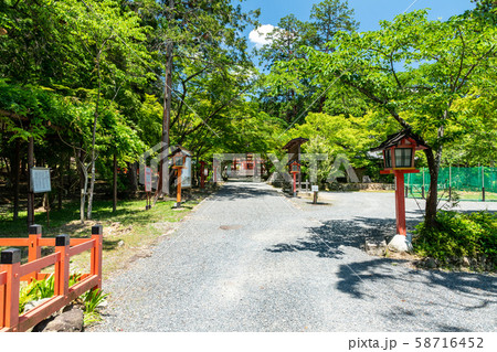 大原野神社 表参道 大原野神社 表参道 58716452