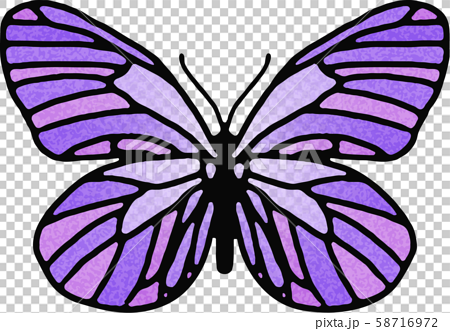 蝶 ステンドグラス 紫 のイラスト素材