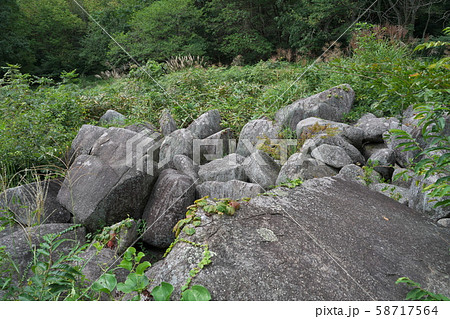 《広島県》久井の岩海 58717564