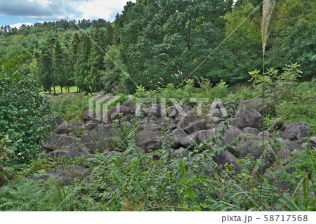 《広島県》久井の岩海 58717568