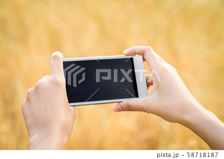woman hand holding smartphone outdoor in sunset woman hand holding smartphone outdoor in sunset 58718187
