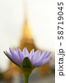 蓮の花と仏塔 58719045