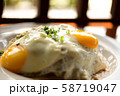 ロコモコ 58719047