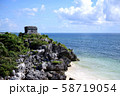 カリブ海を臨む海 58719054