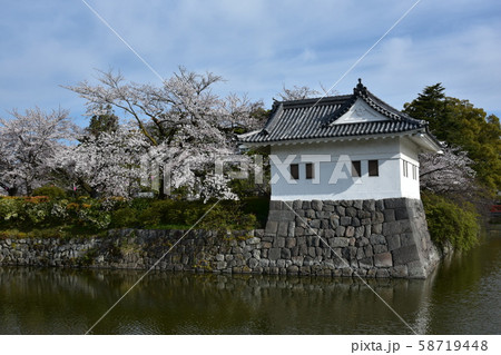 小田原城と桜 58719448