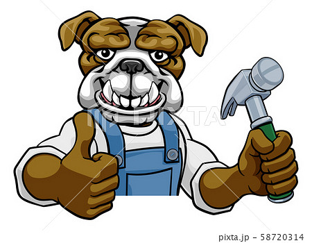 Bulldog Carpenter Handyman Builder Holding Hammer Bulldog Carpenter Handyman Builder Holding Hammer 58720314
