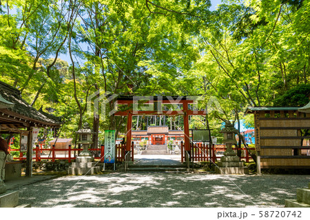三の鳥居 大原野神社 参道 三の鳥居 大原野神社 参道 58720742