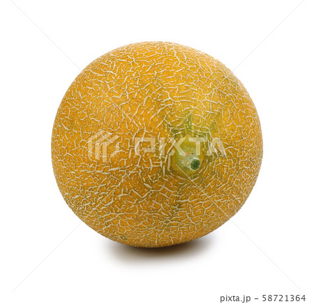 Single ripe melon fruit isolated on white Single ripe melon fruit isolated on white 58721364