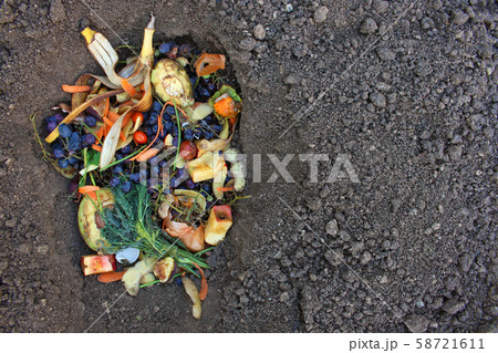 Domestic waste for compost from fruits and 58721611