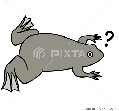 シンプルなアフリカツメガエルのイラスト(?マーク) 58722027