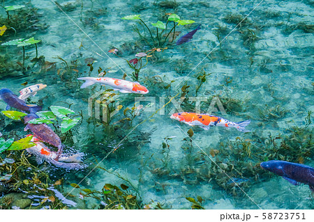 岐阜県関市の名もなき池 58723751