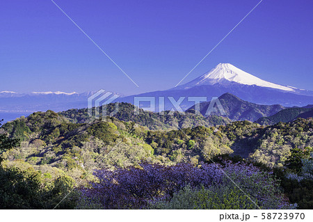 （静岡県）伊豆の国市・葛城山から望む、富士山 58723970