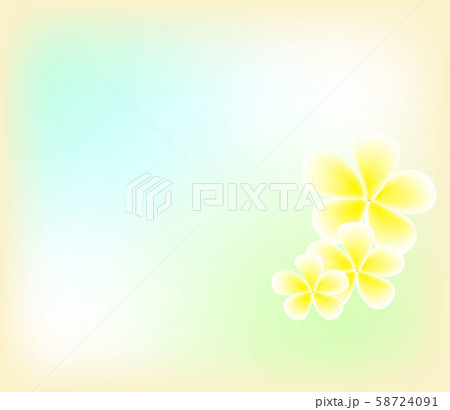 Plumeria flowers with blue sky background, vector illustration. Plumeria flowers with blue sky background, vector illustration. 58724091