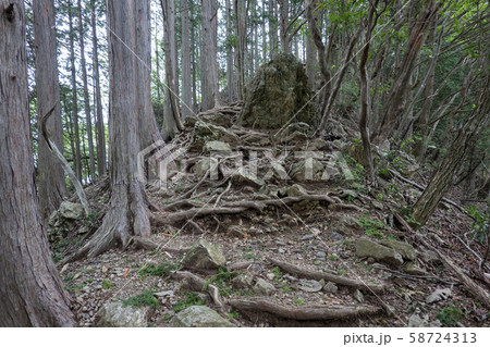 木の根だらけの登山道と道を阻む岩 木の根だらけの登山道と道を阻む岩 58724313