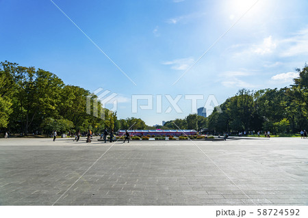 【東京都】上野恩賜公園　竹の台広場 58724592