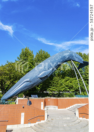 【東京都】国立科学博物館 上野恩賜公園 くじら 【東京都】国立科学博物館 上野恩賜公園 くじら 58724597