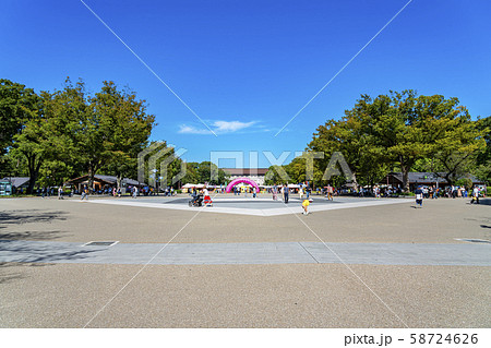 【東京都】上野恩賜公園 竹の台広場 【東京都】上野恩賜公園 竹の台広場 58724626