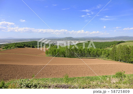 春先の耕したばかりの畑 58725809
